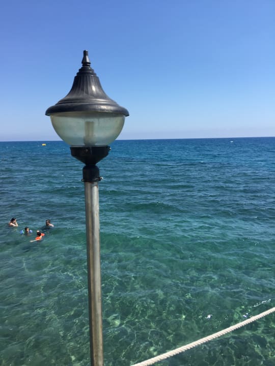 Strand Dizalya Palm Garden