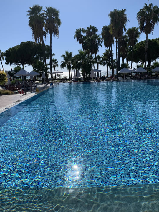 Pool Acanthus Cennet Barut Collection