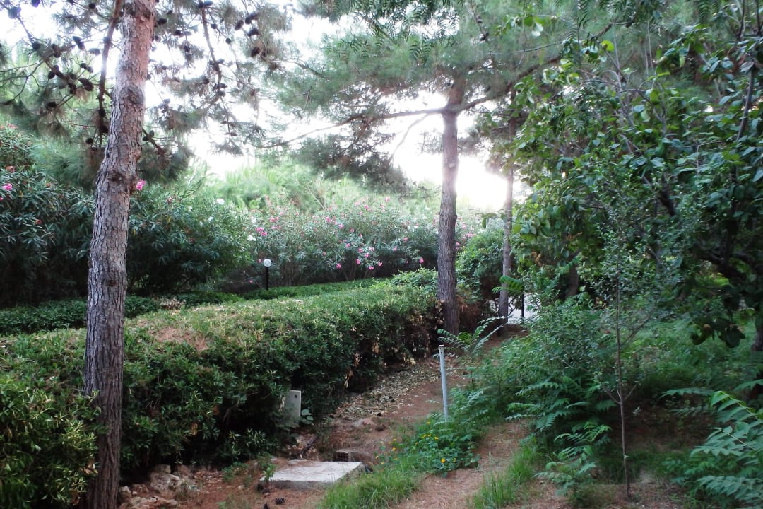 Blick vom Balkon Teos Village