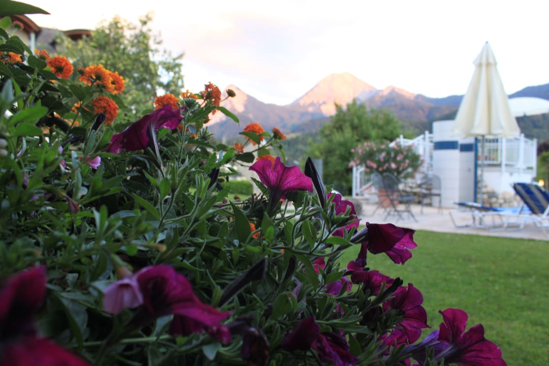 Gartenanlage Sportpension Aichholzer