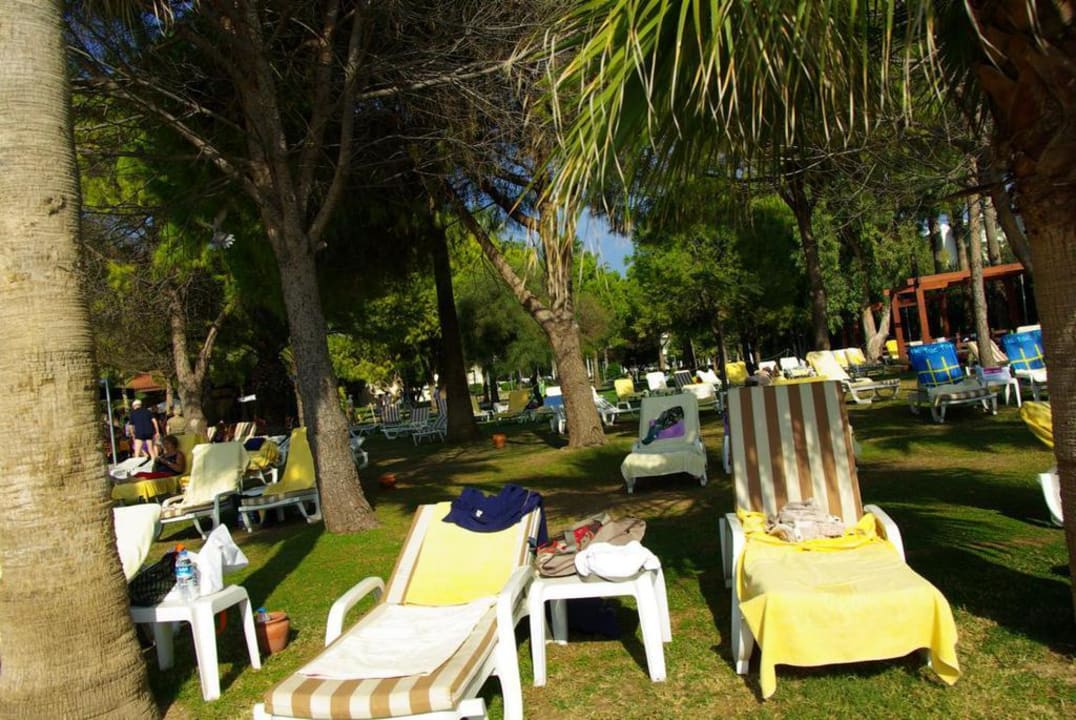 Im November Barut Hemera