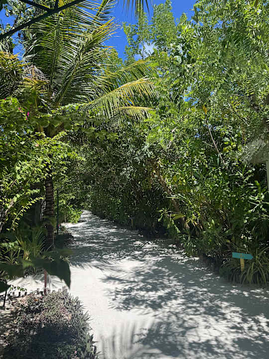 Außenansicht Oaga Art Resort Maldives - Greatest All Inclusive Plan with Free Speedboat Round-trip