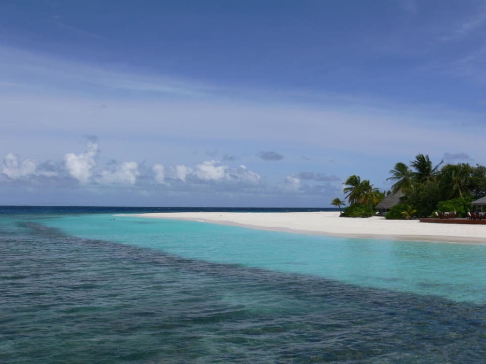 Ein Teil des Hausriffs Angaga Island Resort