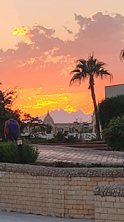 Ausblick Pharaoh Azur Resort