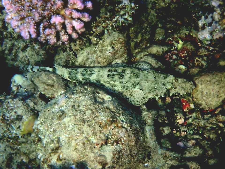 Lobby Three Corners Equinox Beach Resort