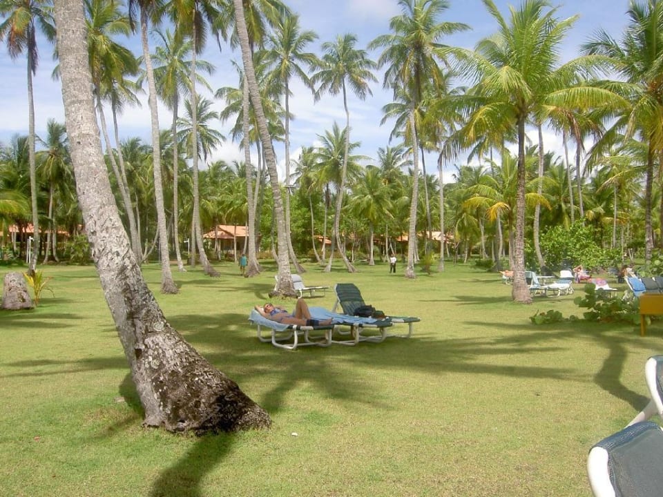 am strand Wyndham Alltra Samana