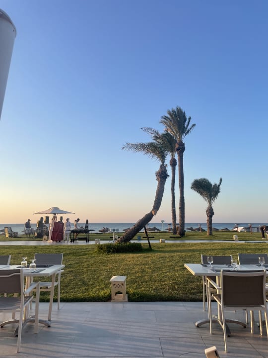 Gartenanlage Iberostar Selection Kuriat Palace