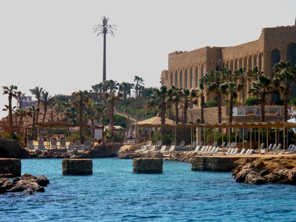 Цитадель азур Pickalbatros Citadel Resort