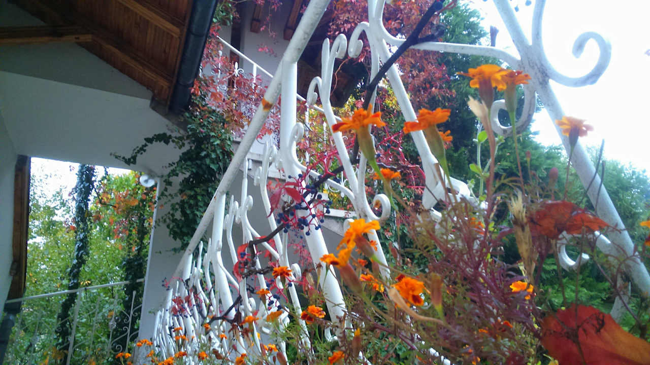 Außenansicht Park Hotel Amfora