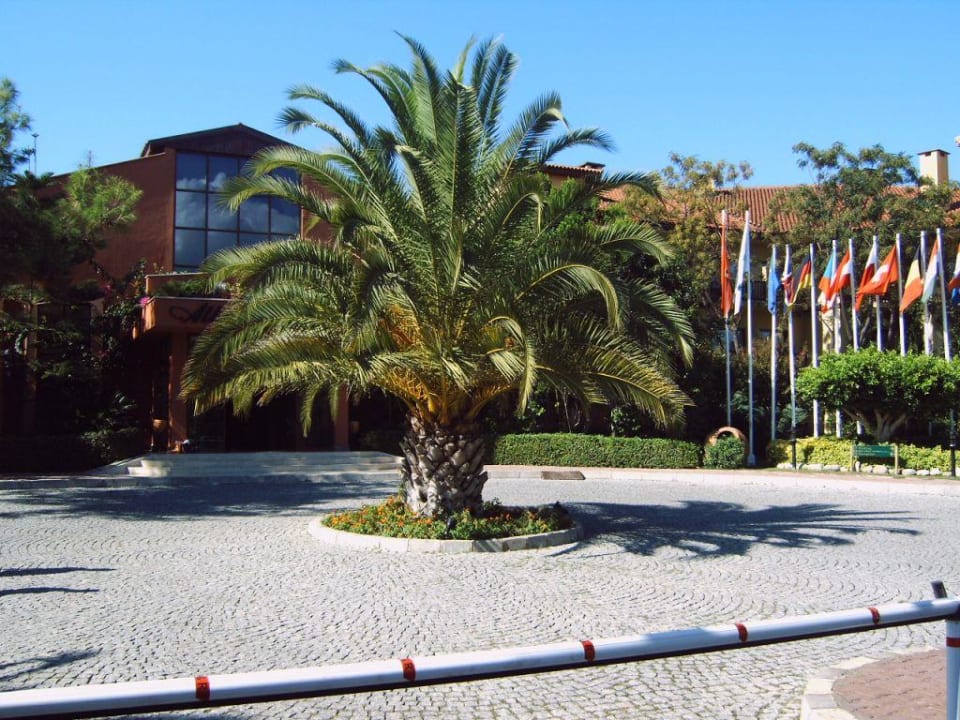 Herzlich willkommen Alba Resort Hotel
