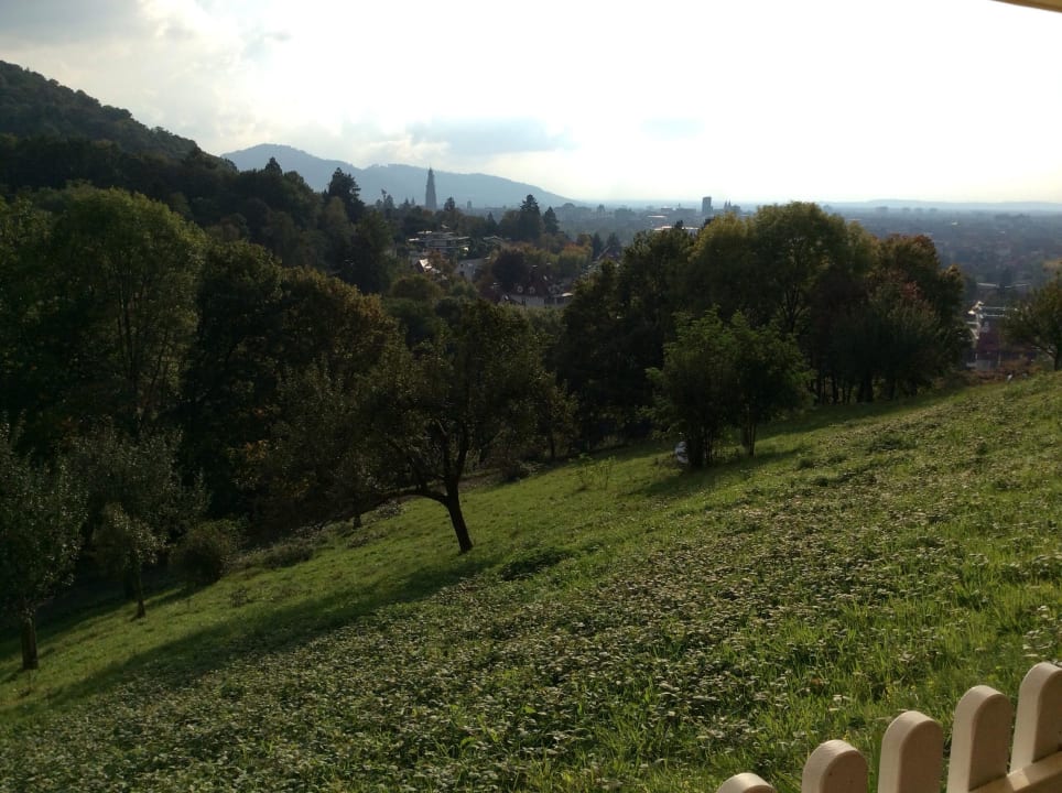 Terrassenblick Superior-Room Mercure Hotel Panorama Freiburg