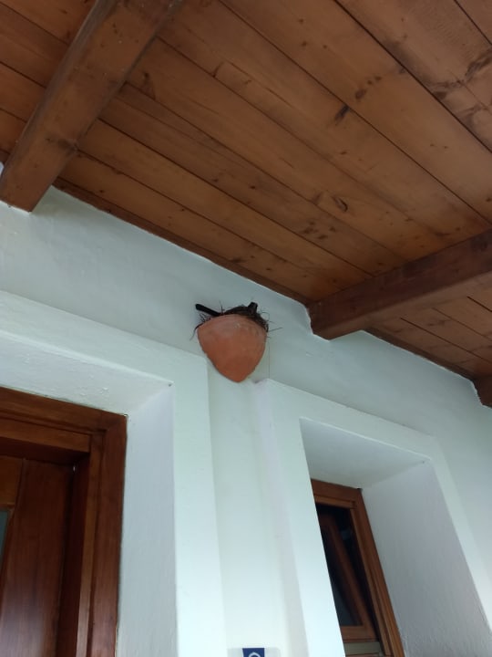 Außenansicht TH San Teodoro - Liscia Eldi