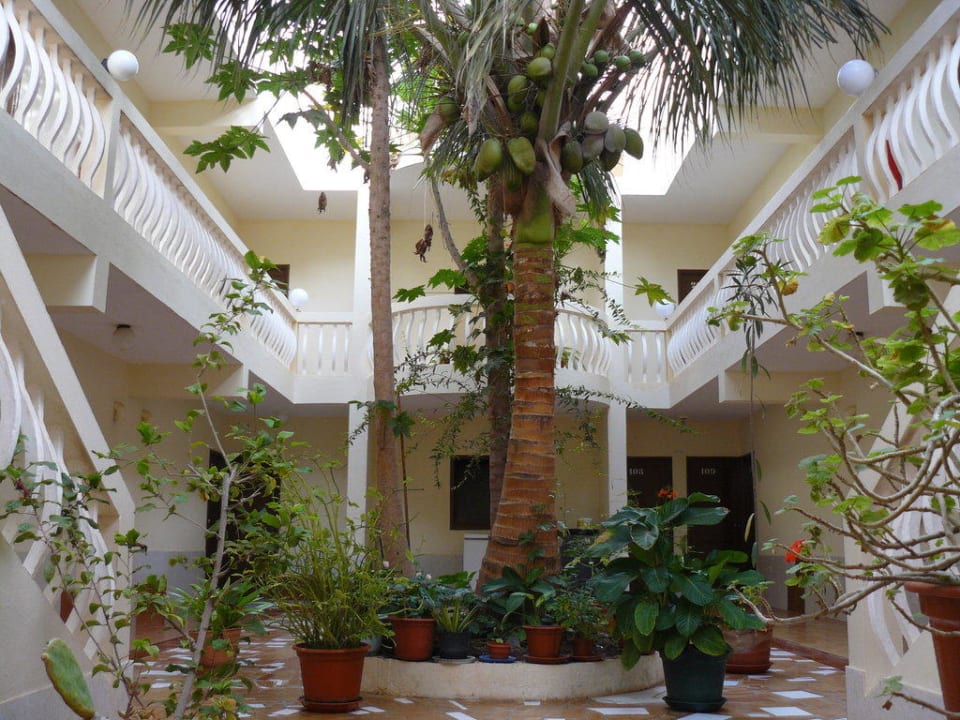 Innenbereich Hotel Hotel Da Luz