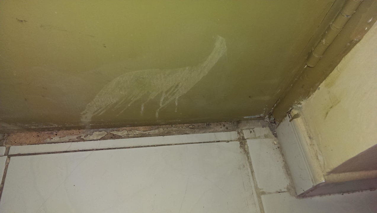 Schmutz etc. in Zimmer Ghazala Gardens