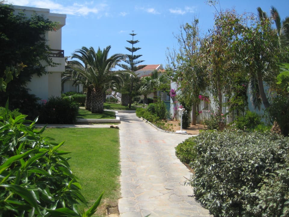 Gartenimpression Iberostar Selection Creta Marine