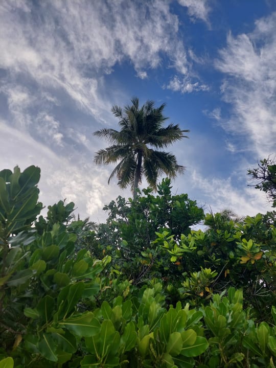 Gartenanlage Malahini Kuda Bandos Resort
