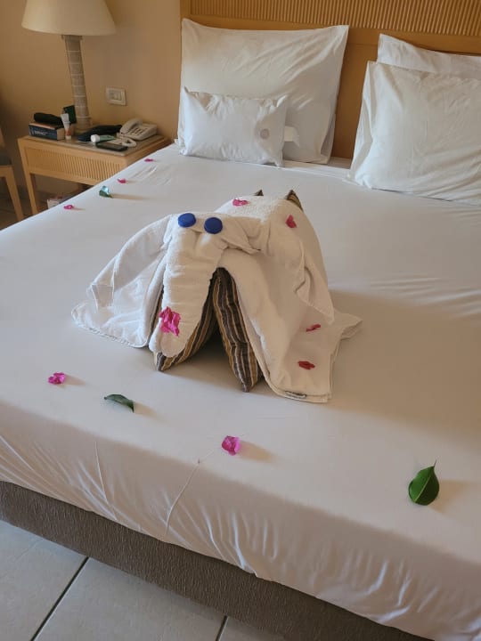 Zimmer Hotel JAZ Makadi Star & Spa