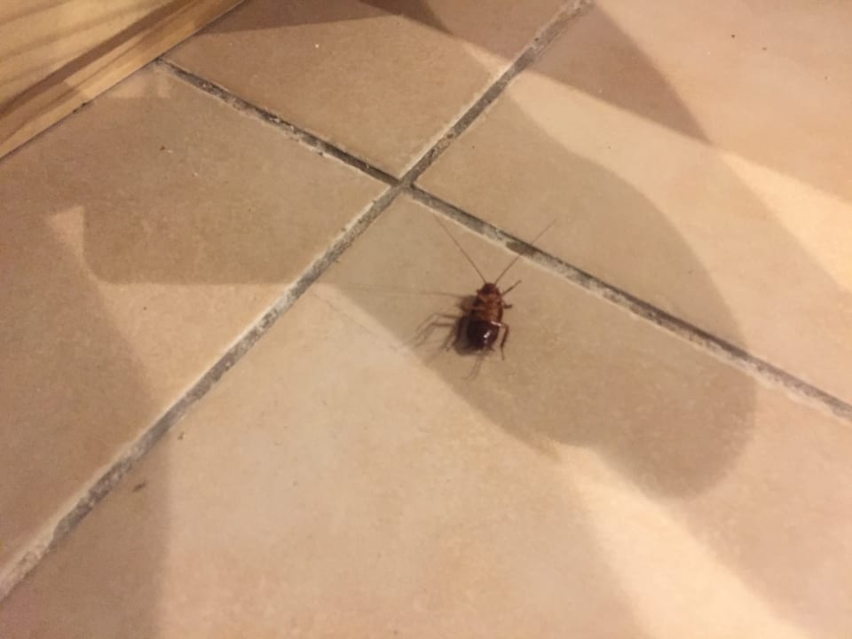 Zimmer Veranda Pointe aux Biches Hotel