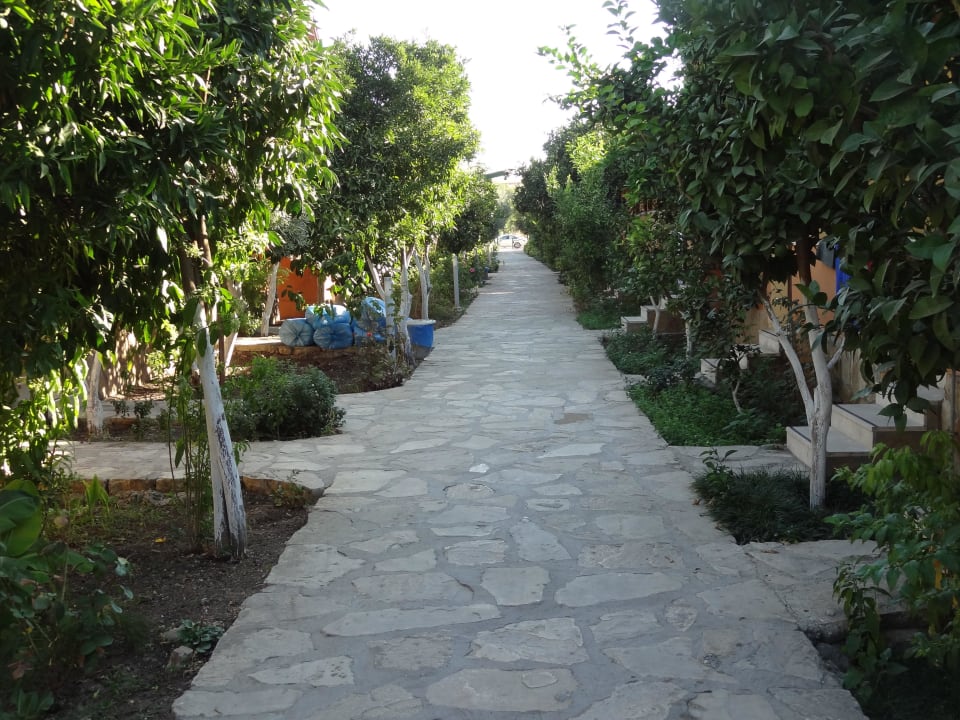 Rechts und links sind die Bungalows Özlem Garden Hotel
