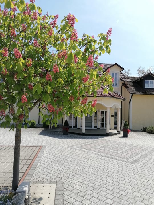 Außenansicht Landhotel Zur Jurahöhe / Juraschlössl