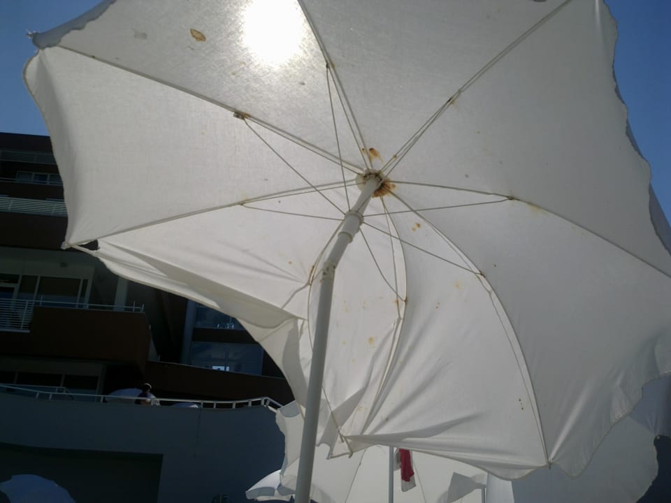 Noch ein super Schirm Hotel Albatros Plava Laguna