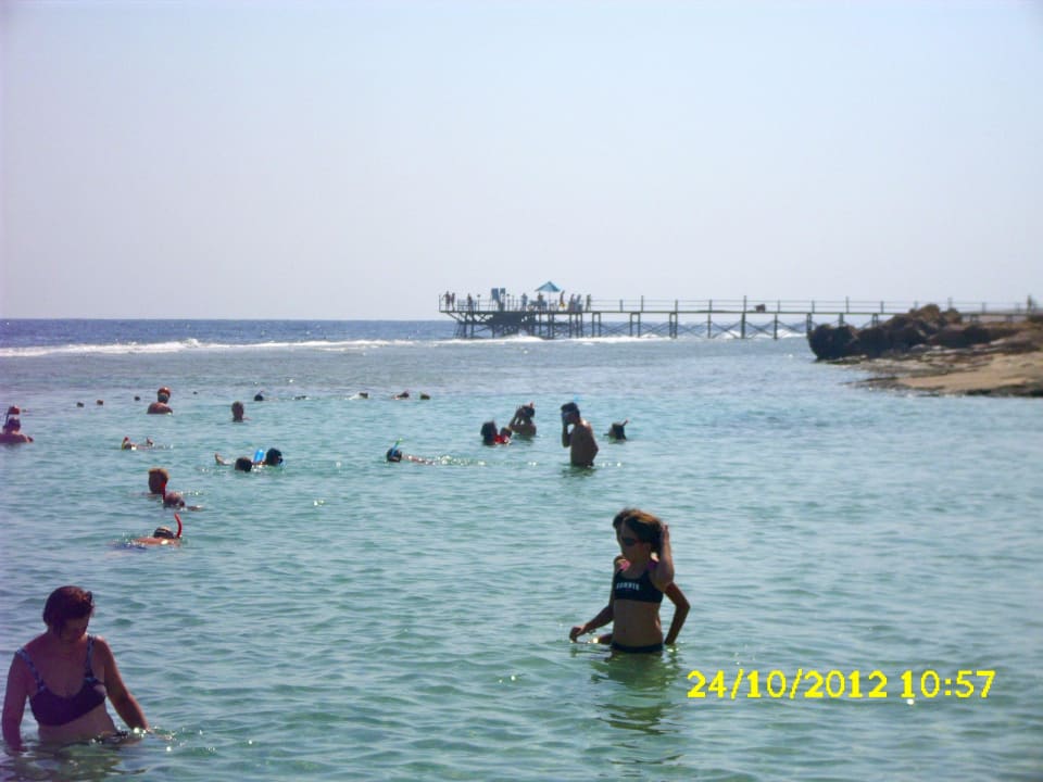 Hotel beach and south pontoon Akassia Swiss Resort