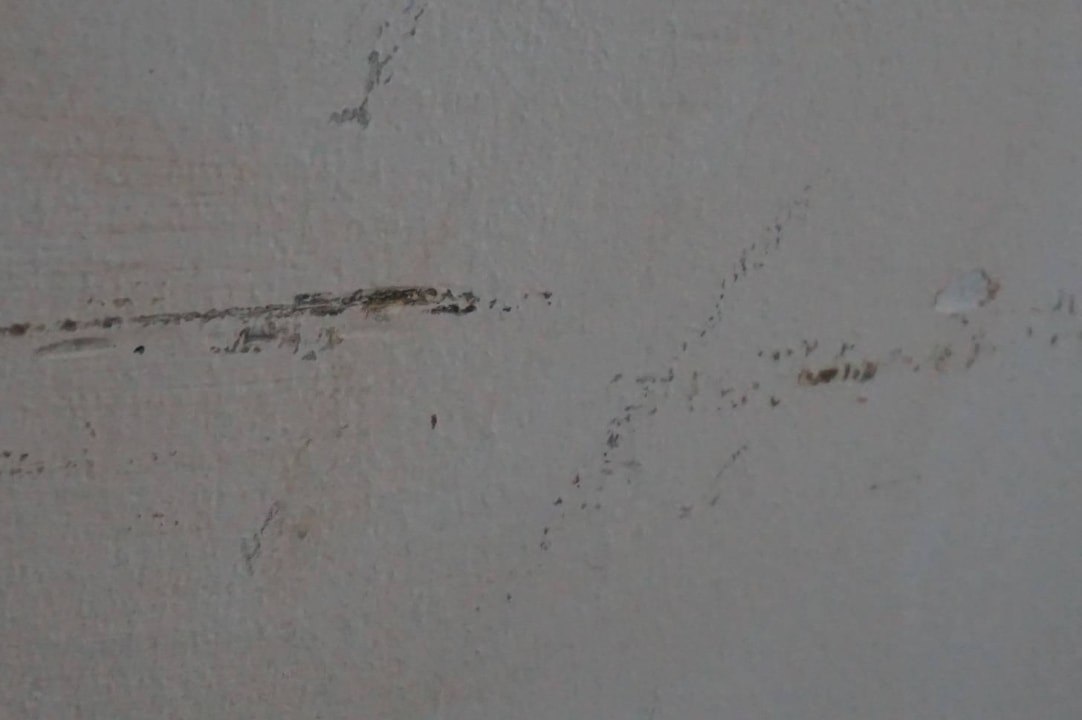 Wände Hotel Raffaello Milano