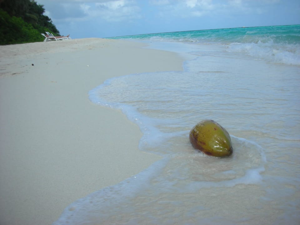 - Biyadhoo Island Resort