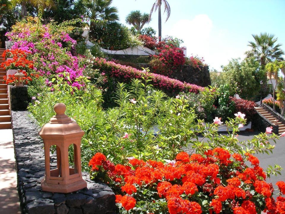 Gartenanlage mit Blick auf den Parkplatz La Palma Jardin
