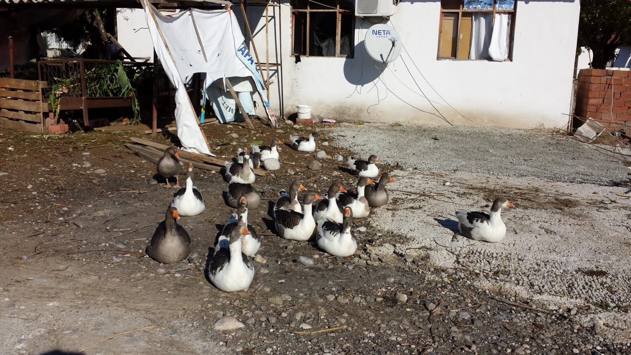 Sonstiges Limak Limra Hotel & Resort