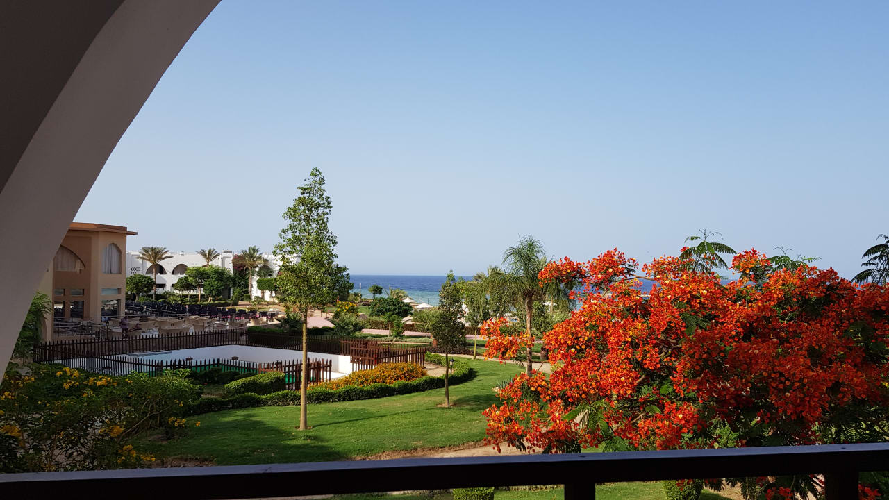 Ausblick Three Corners Equinox Beach Resort