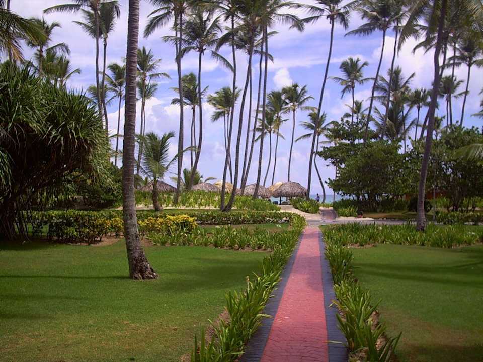 Weg zum Strand.. Grand Palladium Select Bávaro Resort & Spa