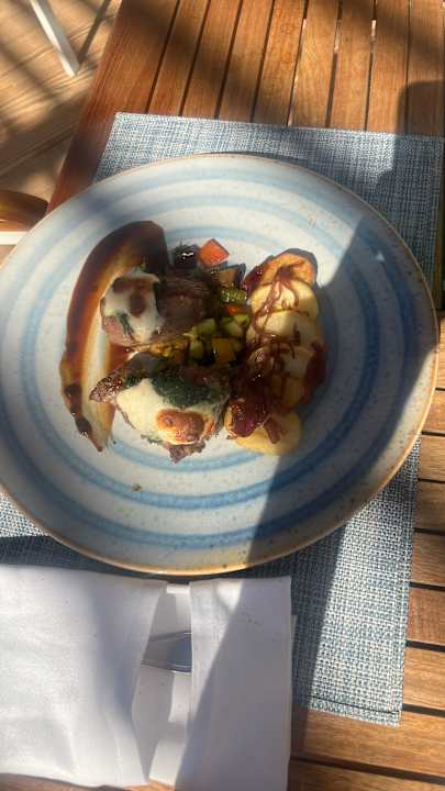 Gastro JAZ Elite Amara