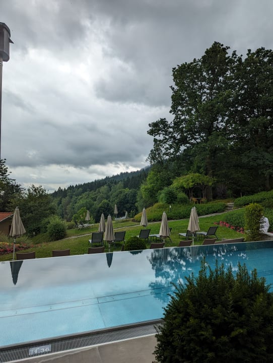 Pool Hotel Reinerhof