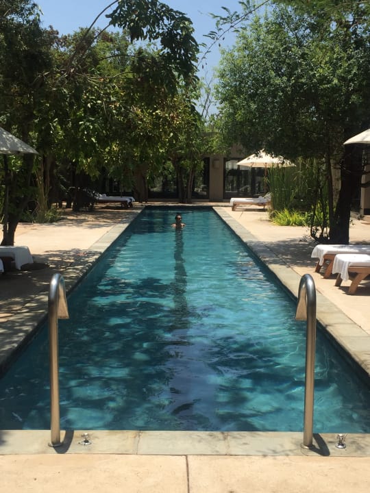 Pool Hotel Royal Malewane