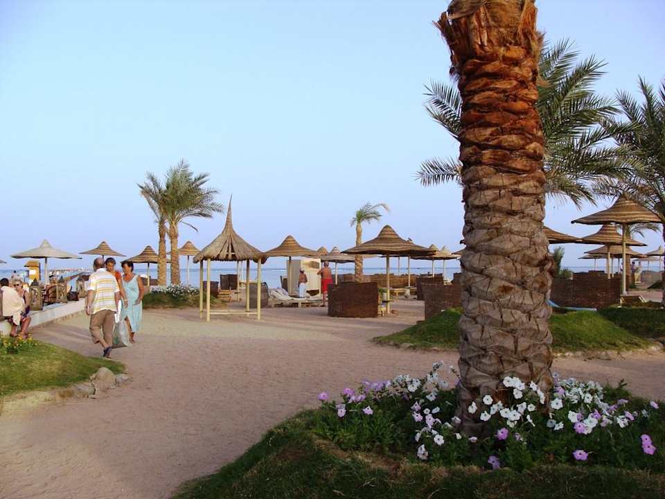 Zugang zum Strand Pickalbatros Royal Moderna Resort-Sharm El Sheikh