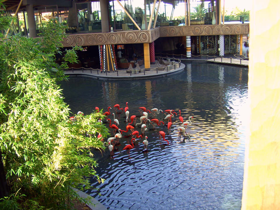 Eingangsbereich Lopesan Baobab Resort