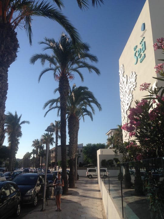 Ausblick The Sea Hotel by Grupotel - Adults only