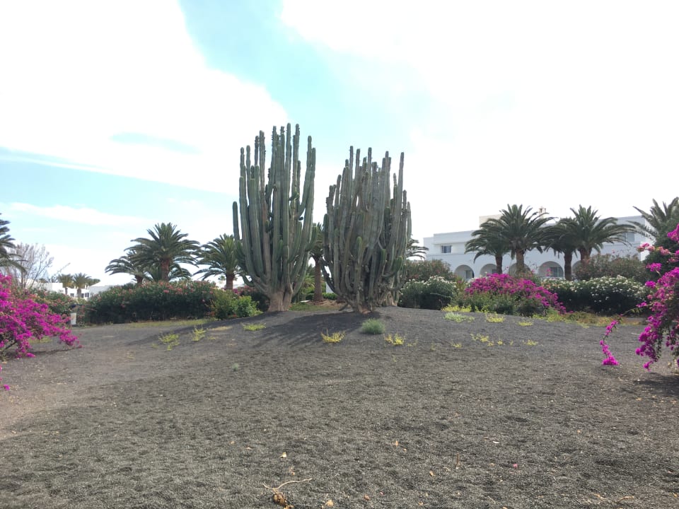 Gartenanlage Relaxia Olivina