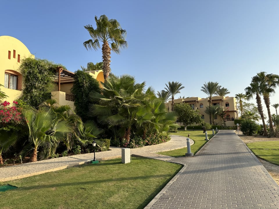 Gartenanlage Steigenberger Coraya Beach - Adults only