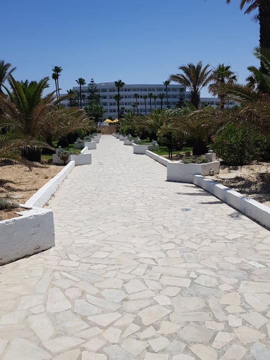 Gartenanlage Hotel Club Tropicana & Spa