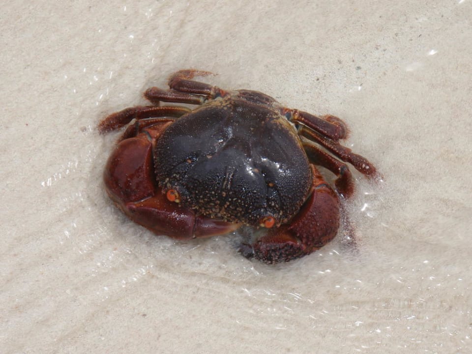 Am Strand Hotel Southern Palms Beach Resort