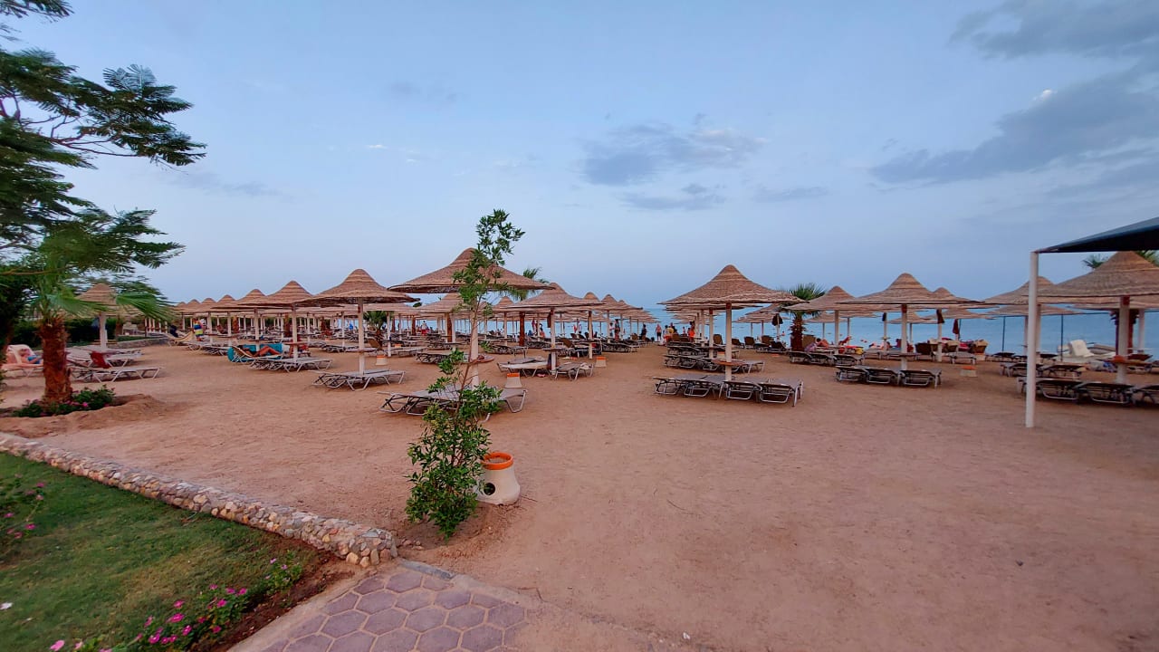 &amp;quot;Strand&amp;quot; Solymar Soma Beach (Soma Bay) • HolidayCheck (Hurghada/Safaga ...