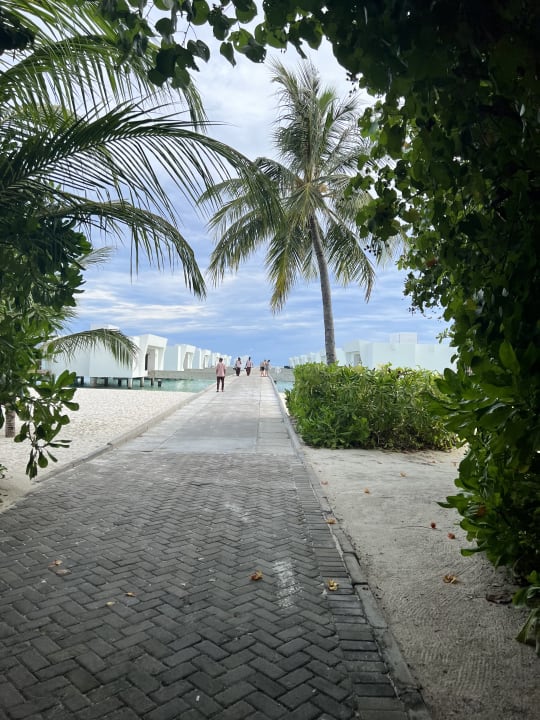 Sonstiges Hotel Riu Atoll