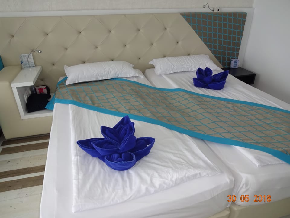 Zimmer Sentido Marea