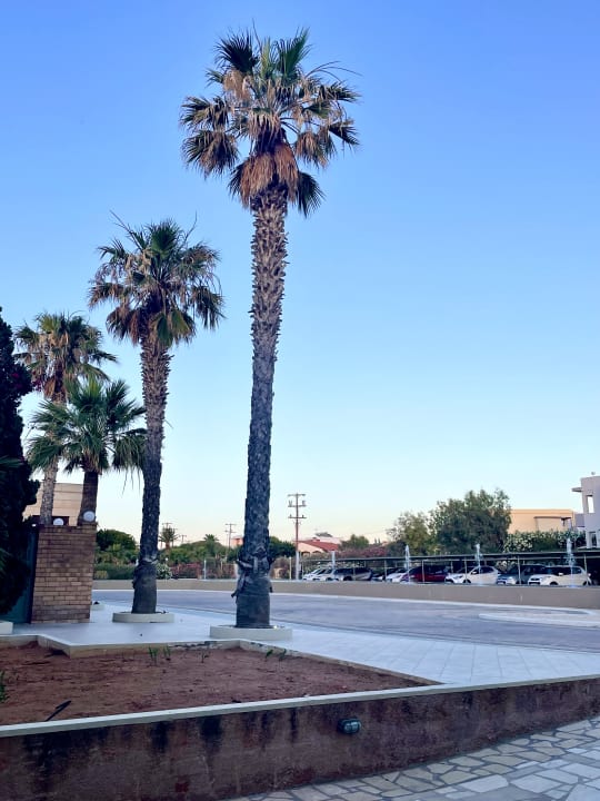 Außenansicht Bella Beach Hotel