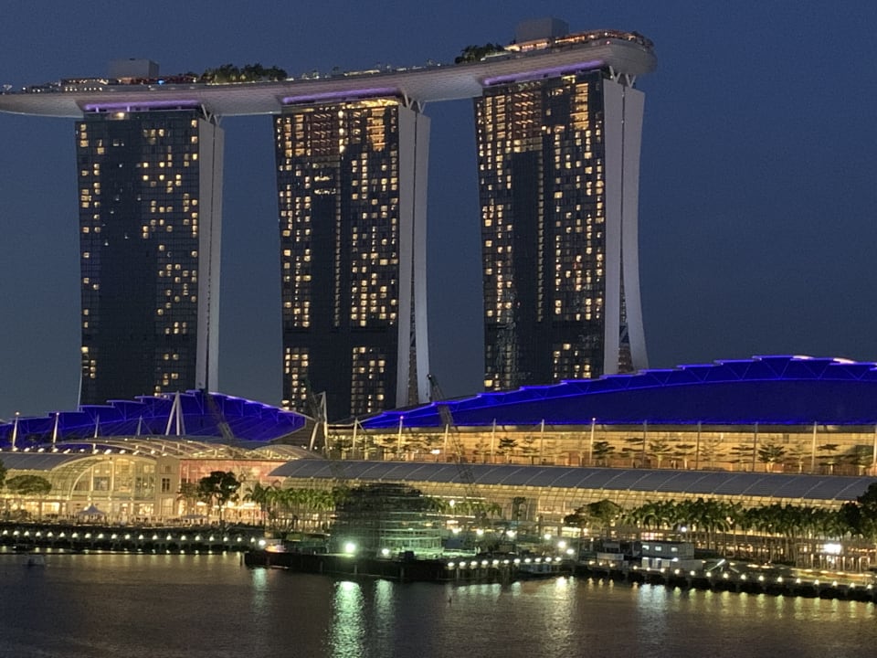 Ausblick Hotel The Fullerton