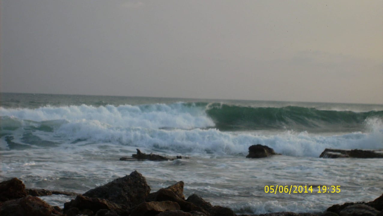 Einfach nur Meer Apartment Royal 4