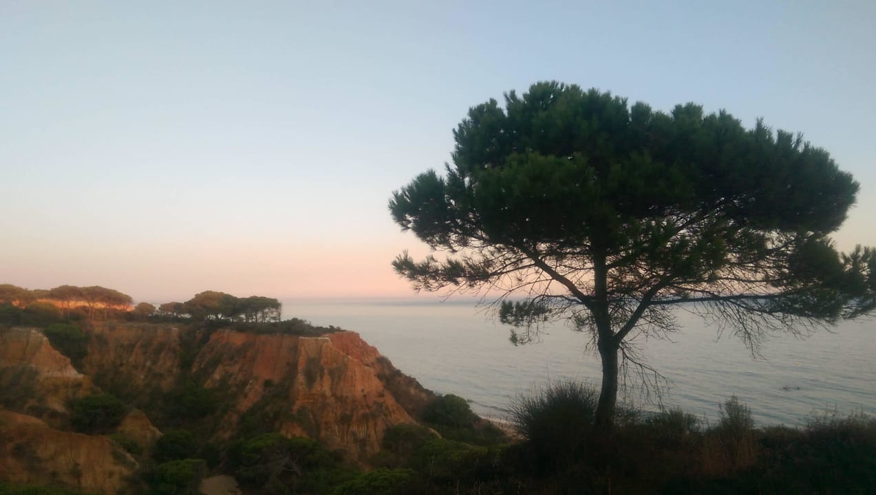 Traumhafter Ausblick PortoBay Falésia