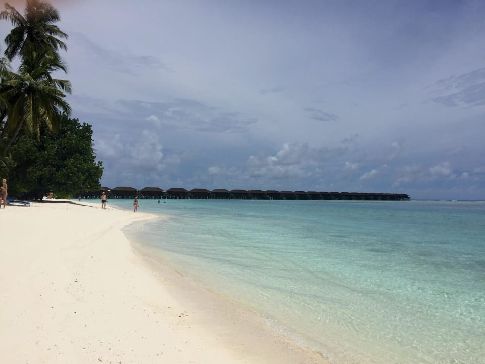 Strandfoto Meeru Maldives Resort Island